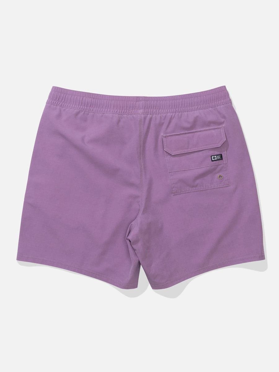 SALTY CREW SEADOG VOLLEY - GRAPE SHORTS SALTY CREW